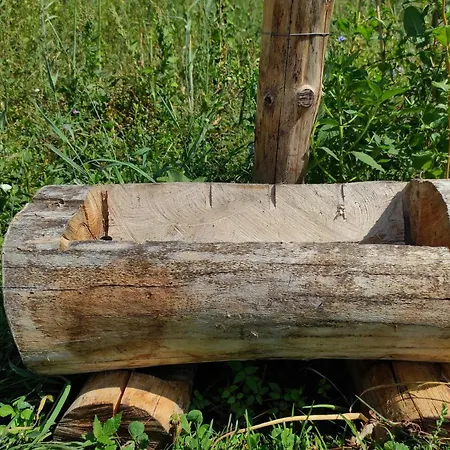 Апартаменты Old House *